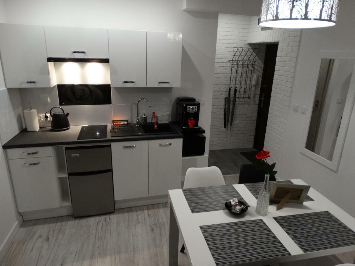 Apartament "Eli" Stary Toruń Buitenkant foto